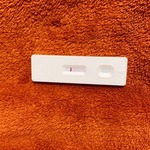 おはようございます。