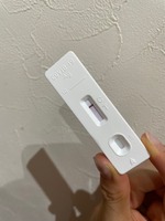 出勤しました