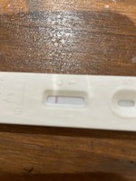 おはようございます。